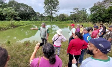 Parceria entre Governo do Amazonas e Prefeitura de Manaus capacita produtores na zona rural da capital