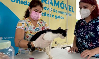 Unidades móveis de castração realizaram mais de 4 mil procedimentos no Amazonas