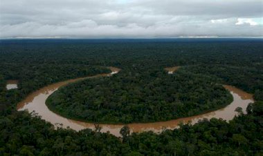 Vale do Javari: DPU e MPF pedem que União seja condenada em R$ 50 mi por danos morais coletivos