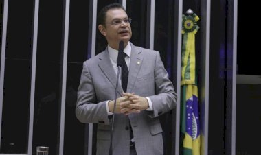 Proposta inclui contagem de cães e gatos no Censo Demográfico