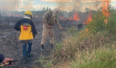 Mês de agosto apresenta queda de 42% nos focos de calor
