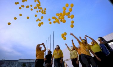 Escola do Legislativo divulga programação especial do Setembro Amarelo