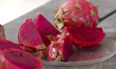 Governo do Estado investe para transformar Rio Preto da Eva em polo produtor de pitaya no Amazonas