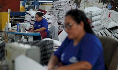 Zona Franca: empresas avançam no interior e 10 municípios já contam com projetos industriais