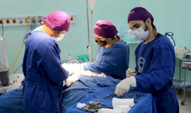 FCecon realiza mutirão de reconstrução mamária para pacientes em tratamento de câncer de mama