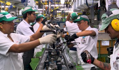 PIB do Amazonas registra R$ 116 bi e estado tem uma das menores quedas do Brasil em 2020