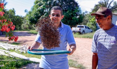 Proposta do deputado João Luiz de implantação do café clonal no Amazonas é destaque nacional na TV Senado