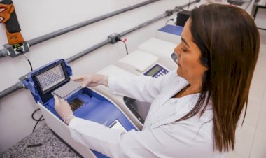 Com apoio da Fapeam, estudo promove o turismo sustentável em comunidade do Amazonas