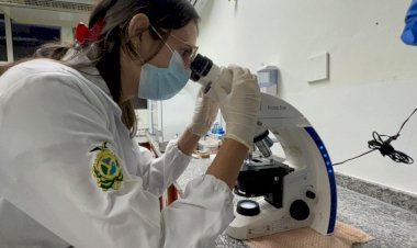 Esporotricose: Saúde do Amazonas informa sobre a doença e orienta como se prevenir