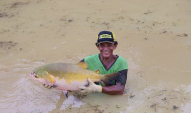 Governo do Estado investiu R$ 2,4 milhões nos segmentos de pesca e aquicultura em 2022