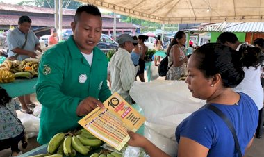 Dengue: Saúde do Amazonas orienta como realizar checklist semanal para eliminar criadouros do Aedes aegypti