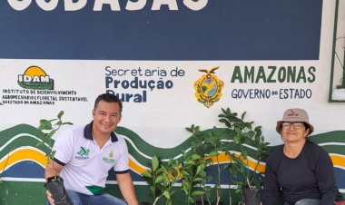 Idam fomenta a agricultura familiar em Codajás com distribuição de mudas de citros