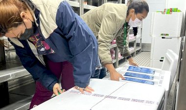 Mais vacina: Amazonas recebe 20 mil doses de Astrazeneca nesta quinta-feira