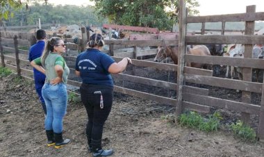 Adaf determina obrigatoriedade de vacinação contra a raiva dos herbívoros em três municípios