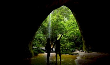 Dia Mundial do Ecoturismo: Amazonastur destaca iniciativas de turismo aliado ao meio ambiente
