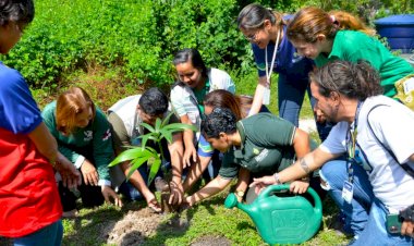 Semana da Água: Ipaam tem extensa programação em Manaus e Parintins
