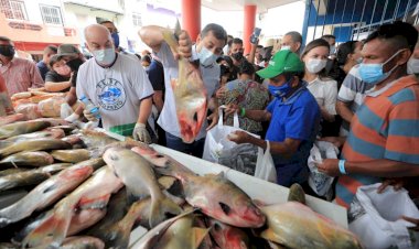 Wilson Lima doa peixe às instituições assistenciais do Estado