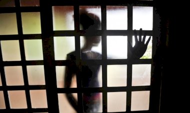 Disque 100 recebe mais de 121 mil denúncias no primeiro trimestre