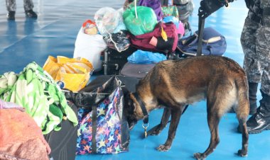 Segurança apreende 12 toneladas de entorpecentes e reforça investimentos