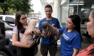Após denúncia de Joana Darc, homem é detido e encaminhado à delegacia por estuprar cadela no Amazonas