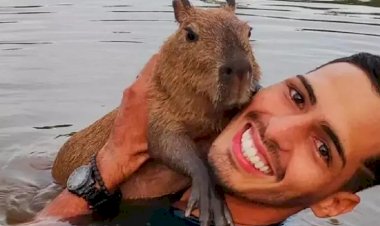 Capivara Filó é entregue a influenciador de redes sociais do AM