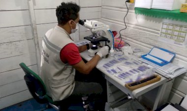 Doença de Chagas: Nota Técnica orienta a sensibilização da rede de saúde para prevenção à doença