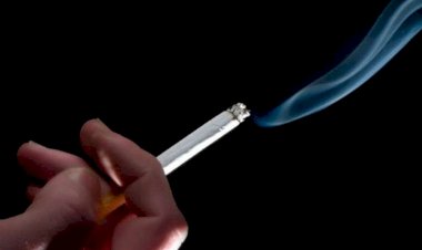 Fumantes usam 8 % renda familiar per capita para compra de cigarros
