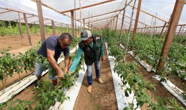 Plano Safra Amazonas: mais de R$ 2,2 bilhões estão disponíveis para acesso ao crédito para o biênio 23/24