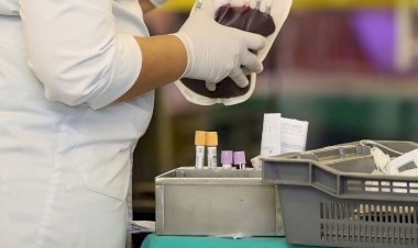 Doença falciforme: adotar medidas de prevenção é essencial para a qualidade de vida