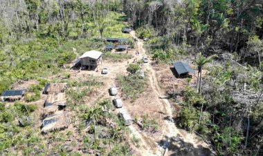 Forças de Segurança apuram denúncias de queimadas e desmatamento ilegal em Humaitá