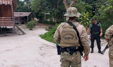 PF e ICMBio reprimem extração ilegal de madeira em Boca do Acre