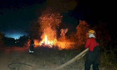 Corpo de Bombeiros combate 23 incêndios em áreas de vegetação na capital, nas últimas 48 horas