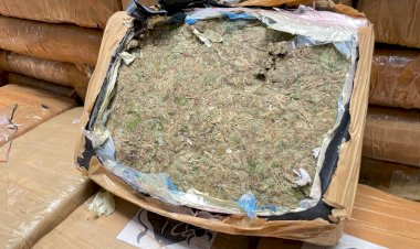 PC-AM deflagra operação policial e apreende mais de meia tonelada de maconha do tipo Skank