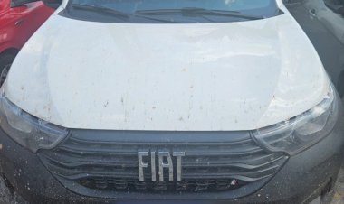 Polícia Civil do Amazonas apreende cerca de 10 tabletes de maconha tipo skunk avaliados em R$ 150 mil