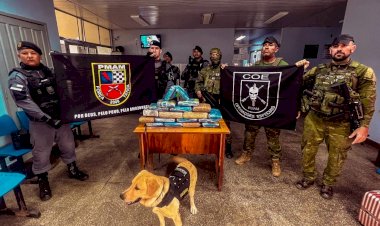 Operação Hórus: Apreensões já resultam em danos de R$ 488 milhões ao crime organizado