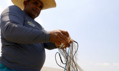 Medida provisória institui auxílio a pescadores e pescadoras profissionais artesanais de municípios do Amazonas