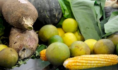 Com vetos, presidente Lula sanciona novo marco legal de agrotóxicos