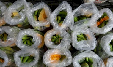 Em 2023, ADS investiu mais de R$ 10 milhões na compra de alimentos regionais por meio do Programa de Assistência Familiar