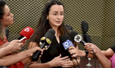 Crimes contra o meio ambiente: PC-AM apresenta balanço das operações realizada no segundo semestre de 2023