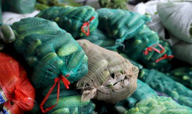 Em Manaus, Sepror realiza primeira entrega de 2024 do Programa de Aquisição de Alimentos