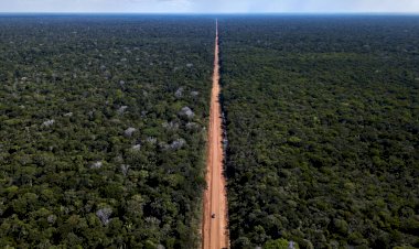 Grupo de trabalho ouve sociedade civil na terça-feira (16) sobre a BR-319