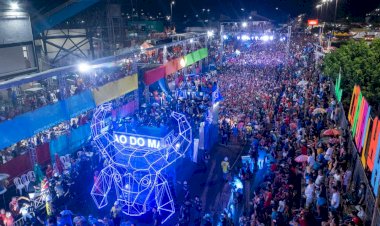 Carnailha é patrimônio cultural imaterial do Amazonas, após pedido da deputada Mayra Dias