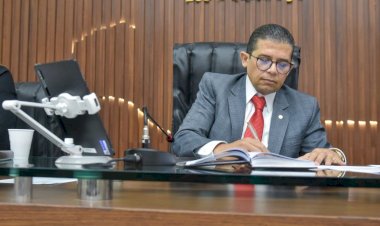 Dia da Imigração Japonesa no Amazonas vira lei por iniciativa do deputado João Luiz