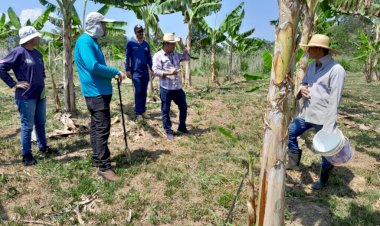 Idam garante R$ 1 milhão para logística de unidades locais e postos avançados