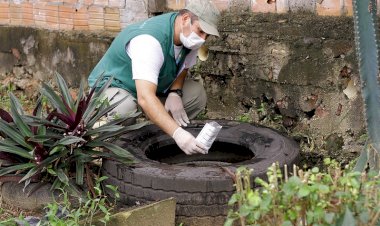 Combate à dengue: cuidar da saúde, evitar automedicação e combater criadouros do mosquito são condutas fundamentais