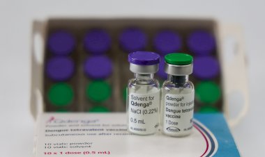 Governo vai enviar vacinas contra dengue para mais 29 municípios