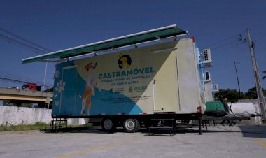 Primeira ação itinerante do Castramóvel atende no Sesc Balneário, na zona Centro-Oeste de Manaus