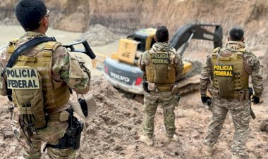 PF e ICMBio desmobilizam garimpos ilegais de cassiterita no Amazonas