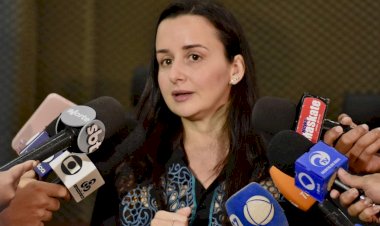 Polícia Civil do Amazonas registra mais de 200 ocorrências de maus-tratos de animais em 10 meses