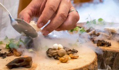 Em parceria inédita, Co.liga e Nestlé lançam cursos de gastronomia para jovens de todo o Brasil